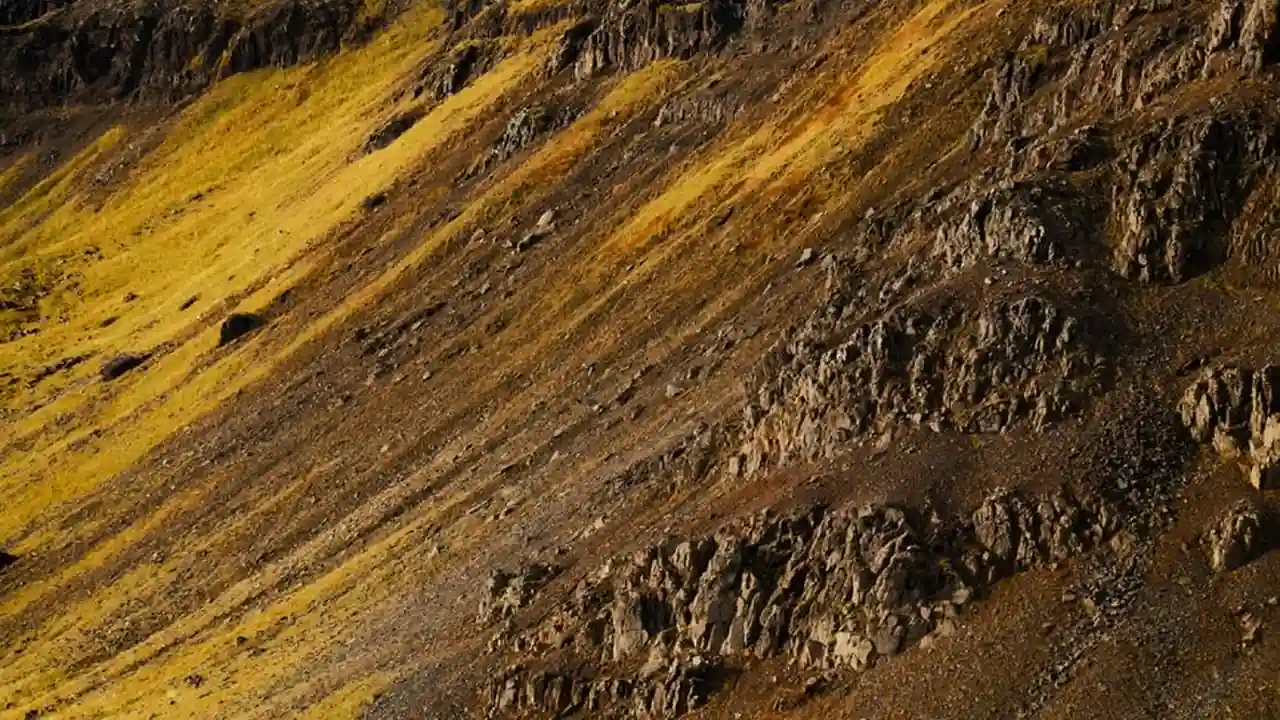三森先生好色地嘴巴使用方法与选购注意事项